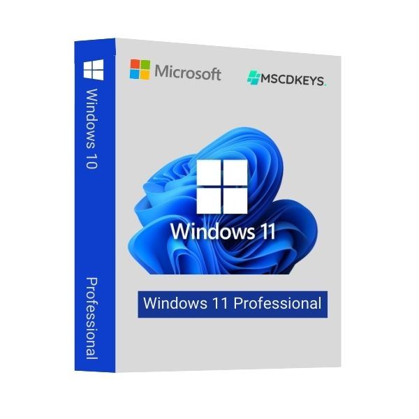 Microsoft Windows 11 Professional